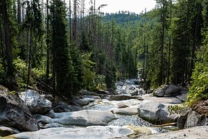 |||Wälder in Europa|||