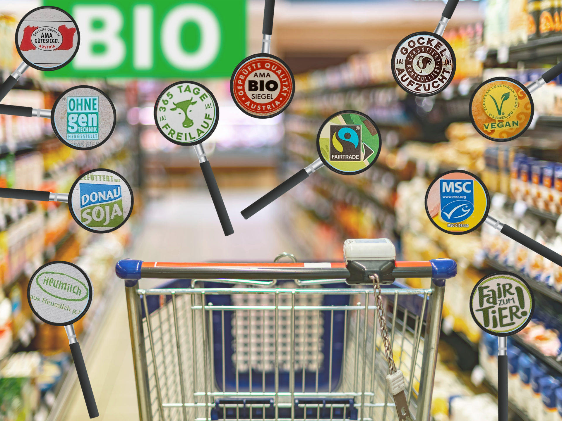 Lebensmittel-Gütesiegel: Orientierungshilfe oder Greenwashing?