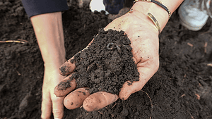 biologisch-dynamische Landwirtschaft|biologisch-dynamische Landwirtschaft