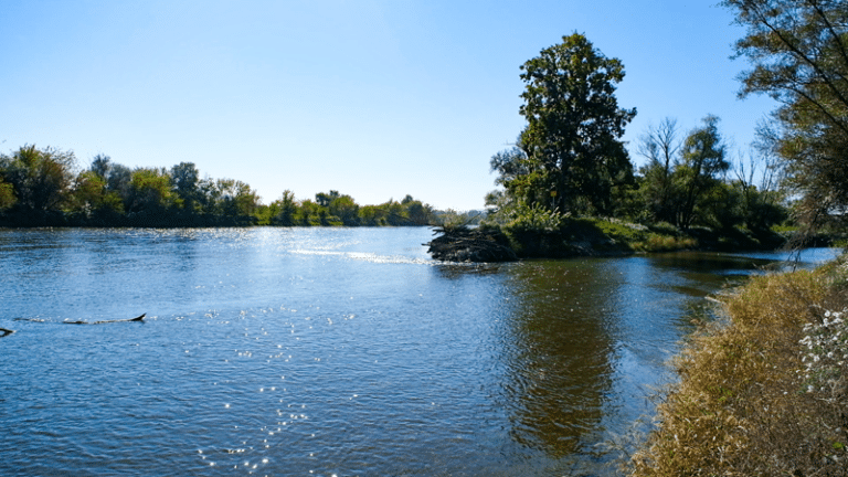 Die Natur kehrt an ihren Platz zurück