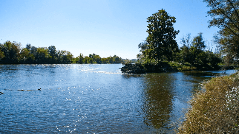 Die Natur kehrt an ihren Platz zurück
