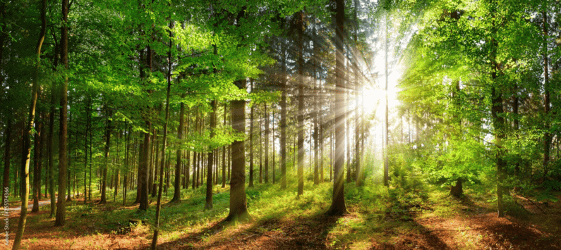 Natur