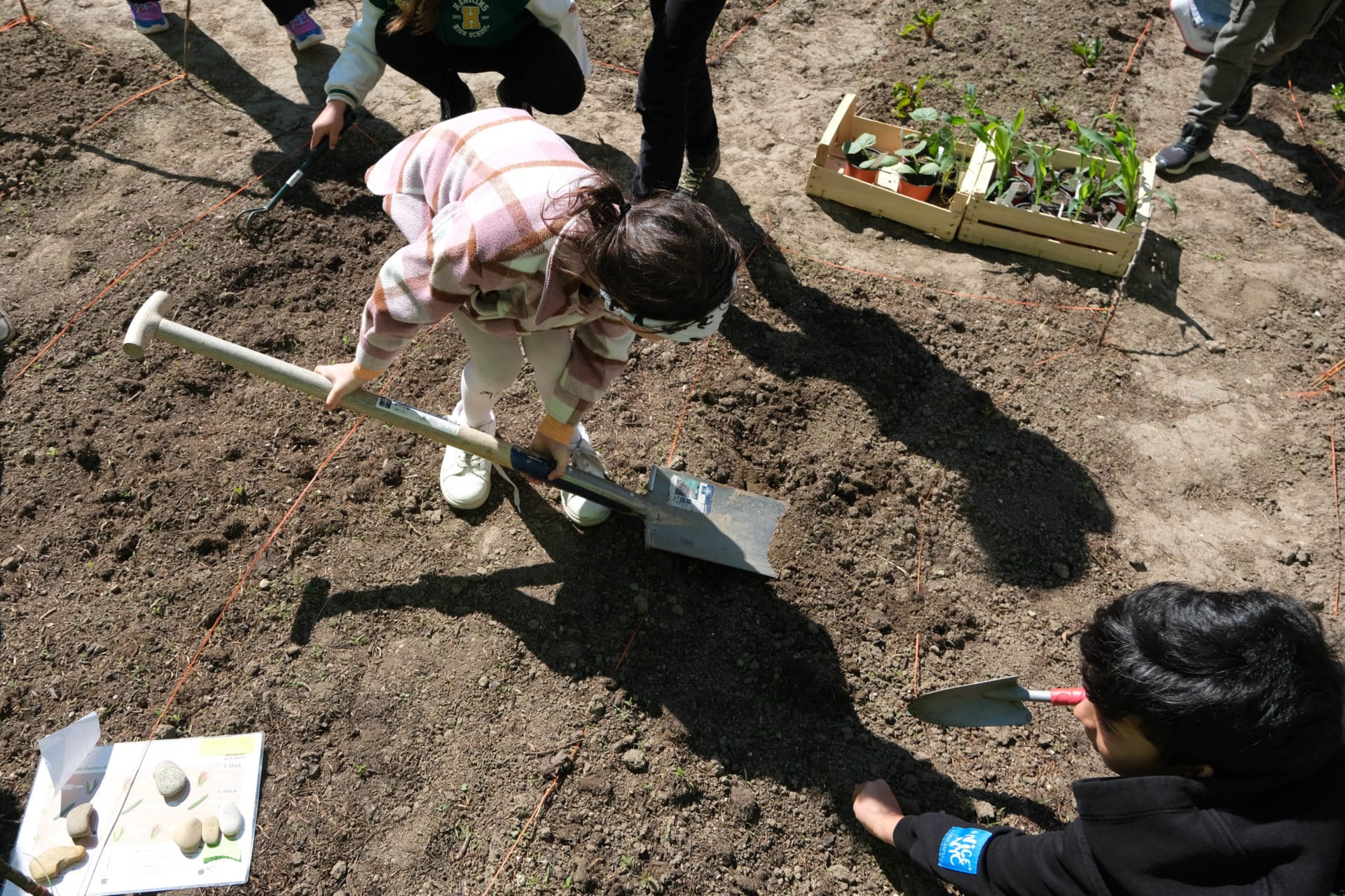 Auf dem Acker erforschen die Schulkinder aktiv ihre natürliche Umgebung und lernen über den Tellerrand zu blicken. Das Ziel: eine junge Generation für Natur und Nachhaltigkeit zu begeistern! © FREDA Magazin/Markus Englisch