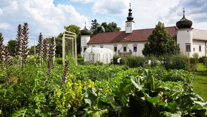 Credit/Fotonachweis ARCHE NOAH / Schiltern