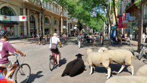 Geburtstag Mariahilferstraße|Geburtstag Mariahilferstraße