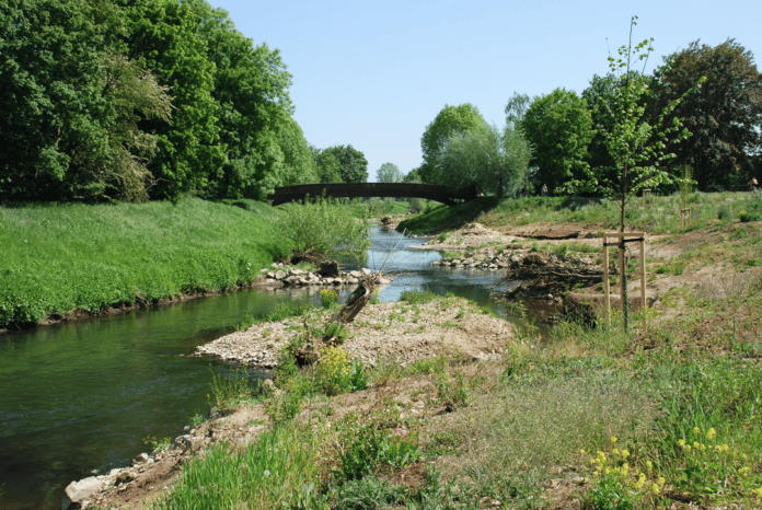 Badeseen Wiener Neustadt