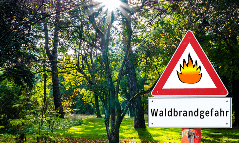 So vermeiden wir Waldbrände