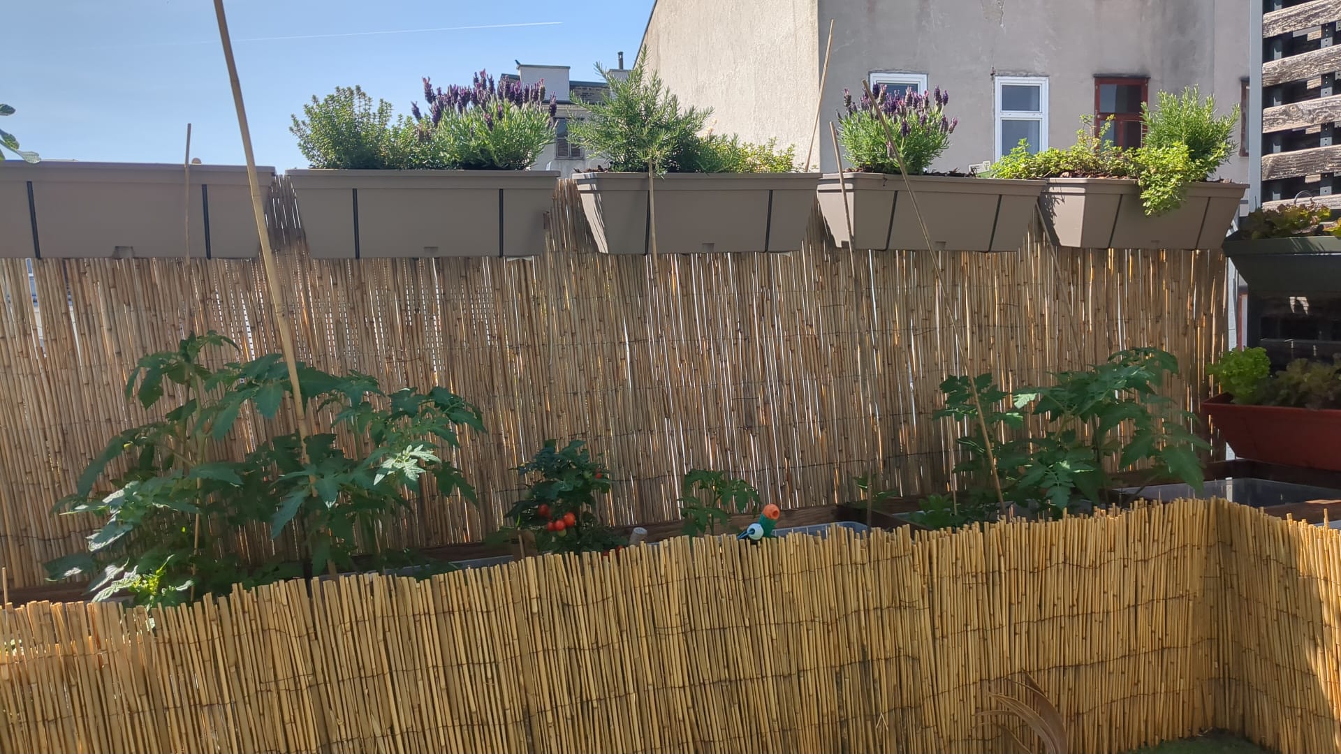 Balkon nachhaltig begrünt in Wien