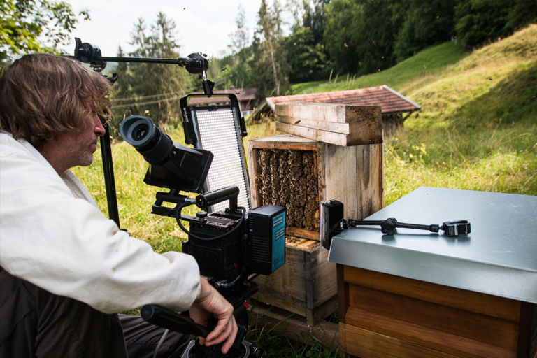 FREDA Sommerkino: Tagebuch einer Biene