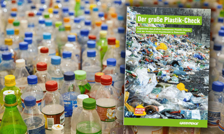 Neue Daten zu Plastikmüll in Österreich